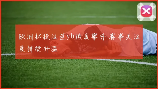 欧洲杯投注蔗yb热度攀升 赛事关注度持续升温