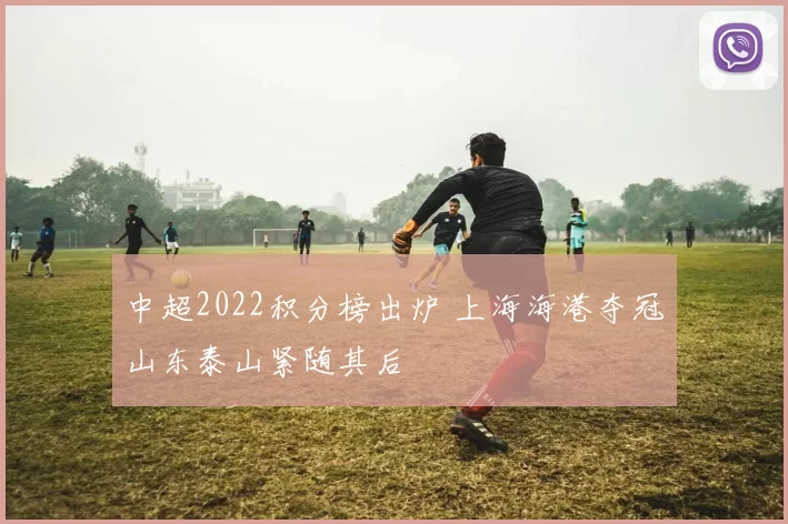 中超2022积分榜出炉 上海海港夺冠山东泰山紧随其后