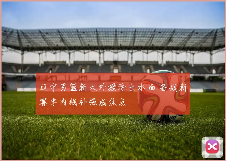辽宁男篮新大外援浮出水面 备战新赛季内线补强成焦点